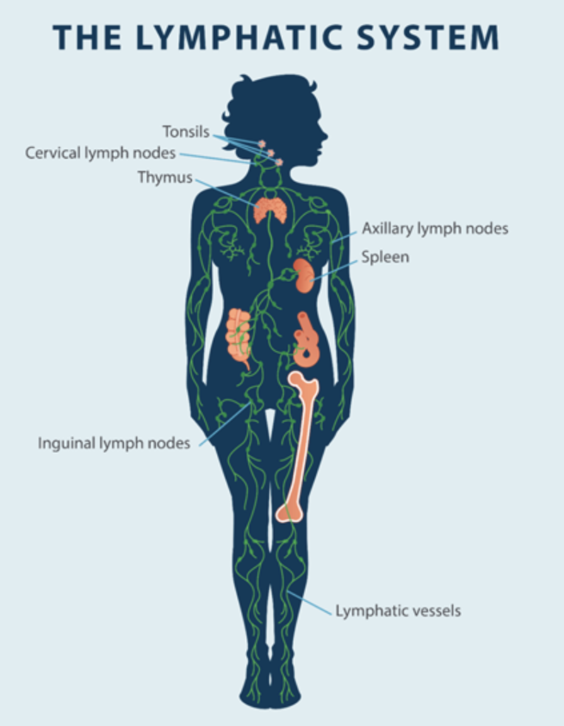 Lymphatic Drainage
