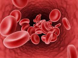 The Importance of Healthy Blood