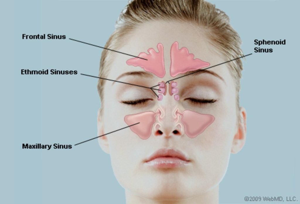 The Benefits of Humming
