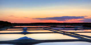 Salt marshes at Guerande