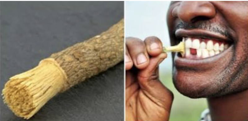 miswak brush